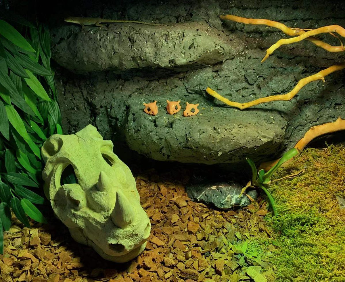 Creality3dP's tweet photo. 🤣Wow, I'm sure there is no better professional in caring for climbing pets than you guys! @REPTIZOO🤣
😝To be honest, I really want to print a helmet for my Exopet kids too😝
BTW: The helmet printed by #creatity #halotsky
#3Dprinting #Helmet #resinart #DIY #Scaling
#Minecraft https://t.co/CTLmVM1BN6