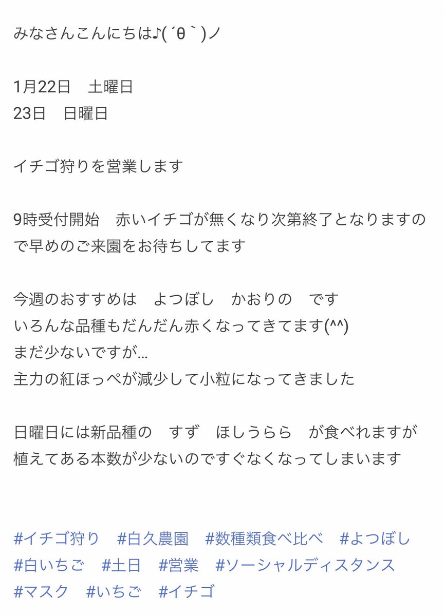 白久農園 Qchandamon Twitter