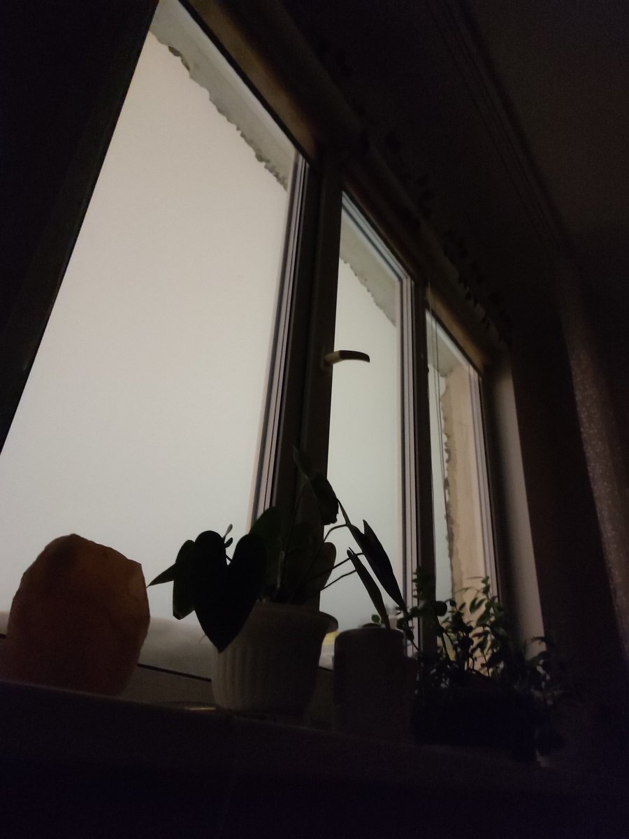 in_springgg's tweet photo. 1. скрин экрана-
2. последняя прослушанная песня-
3. последнее сделанное фото-

получила от: @itdidntseem
передаю: @EthylAlcohol_al
кто хочет!!! https://t.co/1dOTg4fcZu