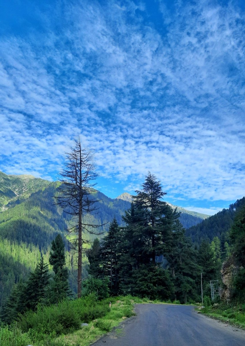 Sukriti Sharma tweet media