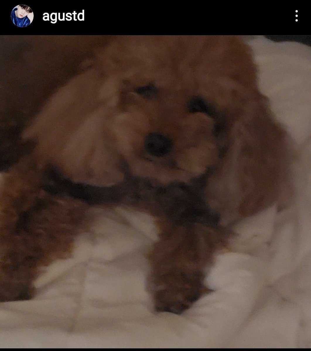 「220121|انستقرام」 

قام جيهوب بالتعليق أسفل منشور شوقا عبر حسابه الشخصي على الانستقرام 

جيهوب : مرحبًا هولي😍 (كتبها بطريقة لطيفة)

^هولي اسم كلب شوقا

#JHOPE⁩ ⁦#제이홉⁩