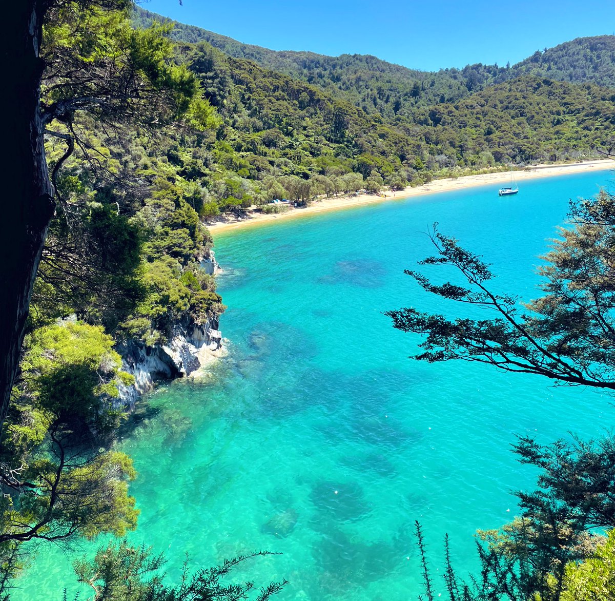 mb_inthehutt's tweet photo. I am never ever leaving Abel Tasman. This is where I live now. https://t.co/WCRby44mnw