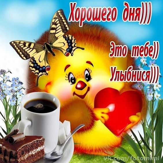 04Weto4ka's tweet photo. @Lora020563 @sovushka_ja https://t.co/jSehx9kzwK