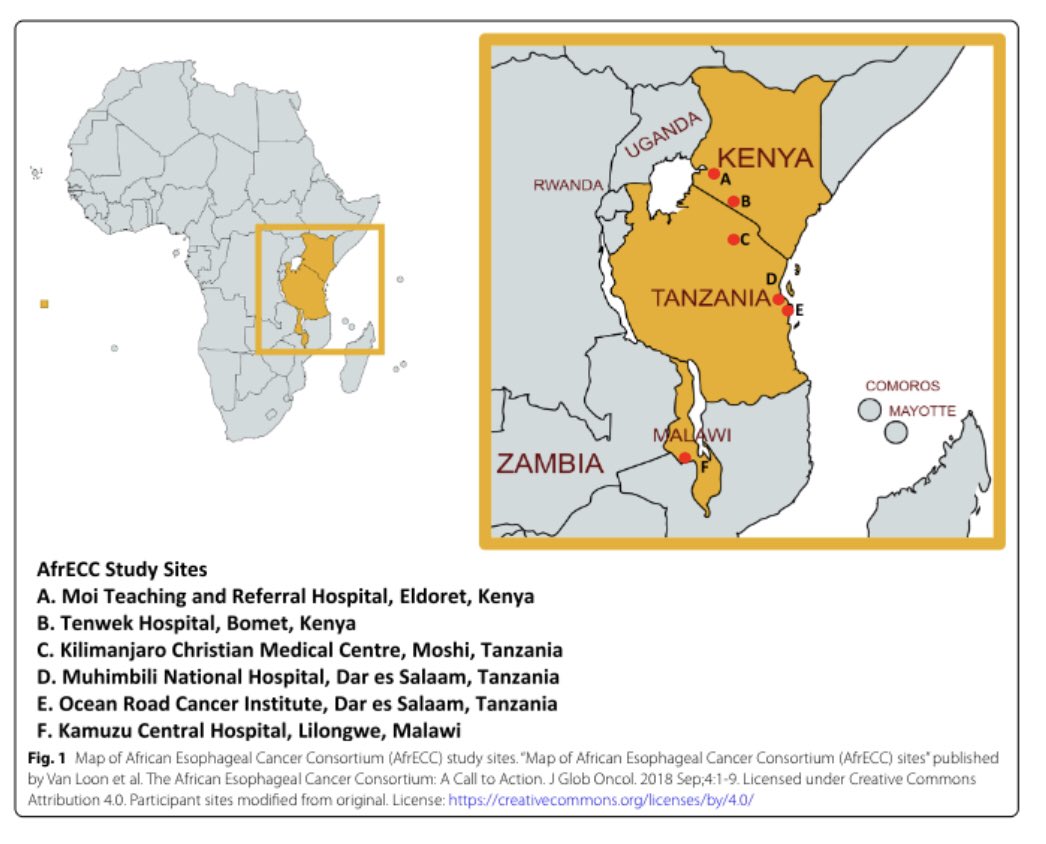 geoffreybuckle's tweet photo. Excited to share our ongoing research as part of the African Esophageal Cancer Consortium (AfrECC) aiming to define optimal treatment strategies for esophageal cancer in Eastern Africa. Results expected in 2023… 

https://t.co/onmJOoI36n

@MichaelMwachiro @EMmbaga @KVanLoonMD https://t.co/AMrkb8J6UQ