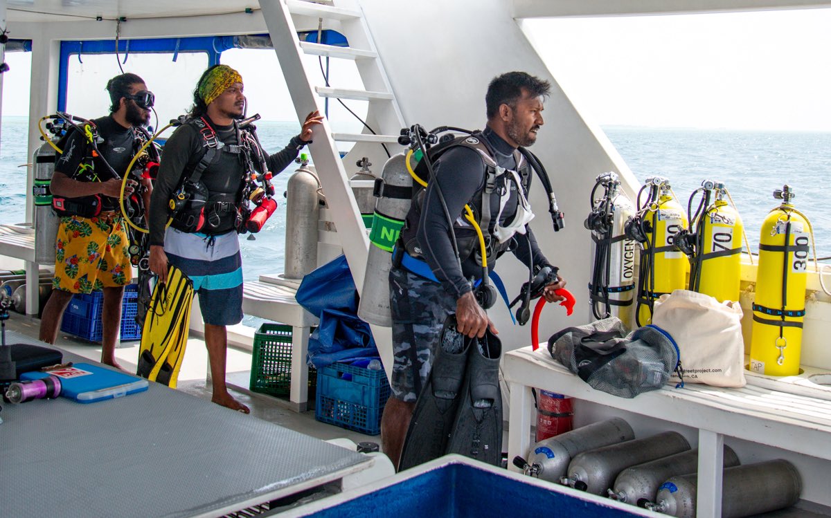 Luiz Rocha, PhD (@coralreeffish) on Twitter photo Our work here is being done in full partnership with the Maldives Marine Research Institute <a href="/MMRI_Maldives/">Maldives Marine Research Institute</a> and is part of the <a href="/calacademy/">California Academy of Sciences</a> #HopeForReefs initiative! mrc.gov.mv Our work here is being done in full partnership with the Maldives Marine Research Institute <a href="/MMRI_Maldives/">Maldives Marine Research Institute</a> and is part of the <a href="/calacademy/">California Academy of Sciences</a> #HopeForReefs initiative! mrc.gov.mv
