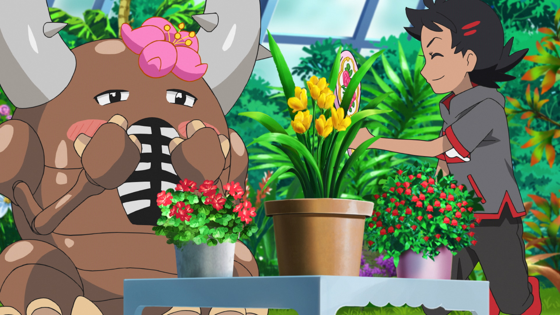ポケモン公式ツイッター 今日のアニポケ ヘラクロスに恋をしているゴウのカイロスは 恋敵の出現で落ち込んでいた そんなカイロスをはげますため サトシとゴウとコハルは タマムシシティのジムリーダー エリカが主催する ポケモン生け花教室 に