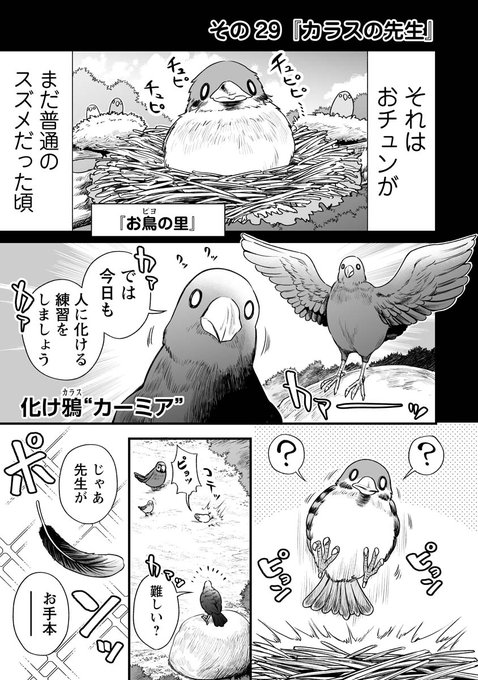 人に化ける雀の女の子とカラスの先生の漫画 