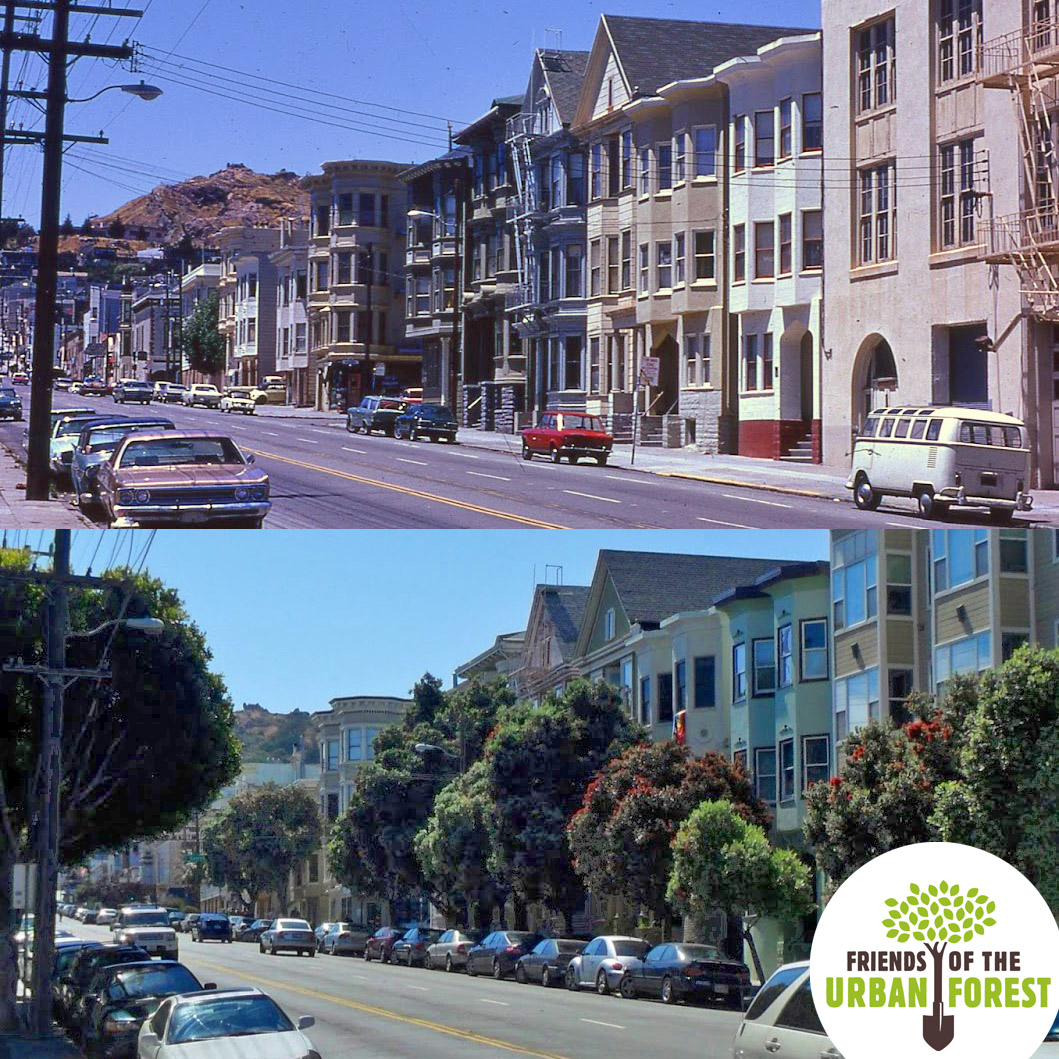 SFUrbanForester's tweet photo. Sharing one of our most popular posts of the past year: 16th Street at Church Street, 1973 and 2010. https://t.co/11xZQcrOil
