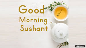MadhumitaroyC's tweet photo. GOOD MORNING SUSHANT FAMILY♥️♥️

There is something you must always remember. you are braver than you believe, stronger than you seem, and smarter than you think..

♥️GOOD MORNING SUSHANT❤️

♥️ Sushant Day 🎂🎉 https://t.co/tgV4I3L2M9