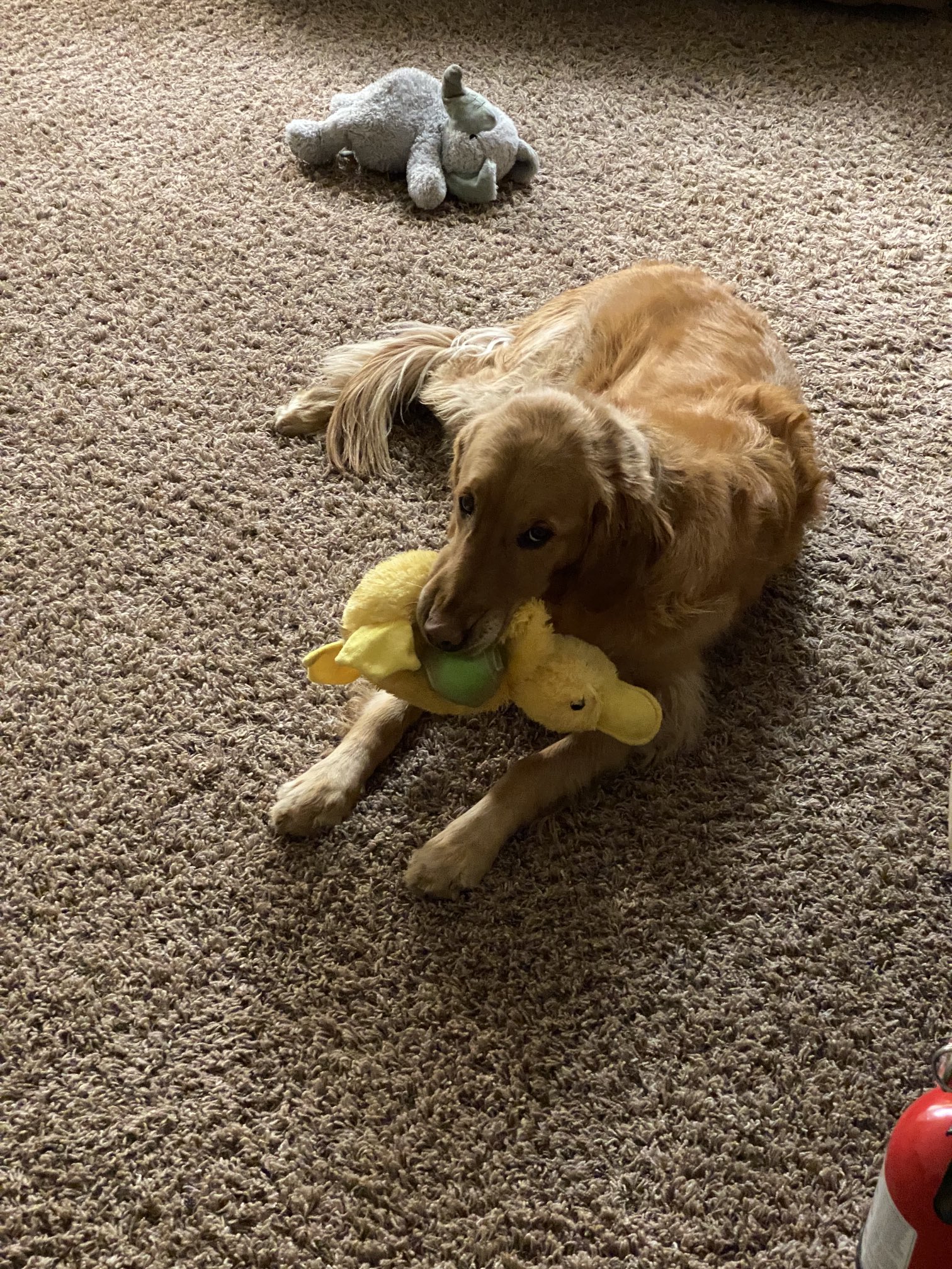 TW Pornstars Www.Lonestarangel.Com. Twitter. dailypic abigail