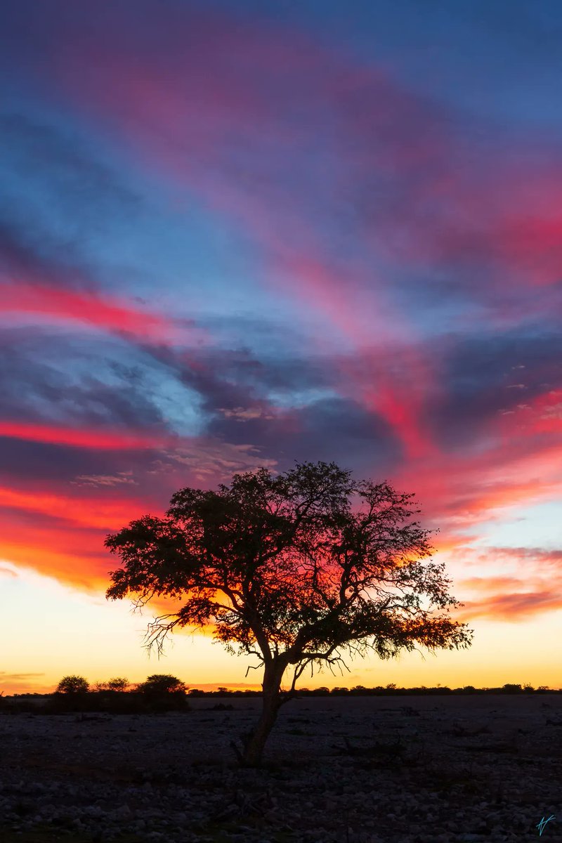 Throwing it back to a beautiful Namibian sunset.
.
.
.
.
.
#africa #africanamazing #wildlycreative #canadiancreatives #vancouverphotographer #shotoncanon #natgeotravel #natgeoyourshot #adventureisoutthere #wanderlust #travel #namibia #etosha