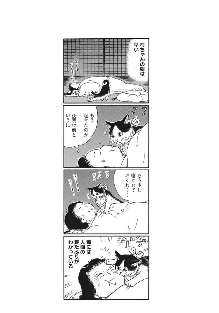 江戸城本丸に住み込みで働いている女性たちが猫を飼っているという4コマ漫画(1/1) 