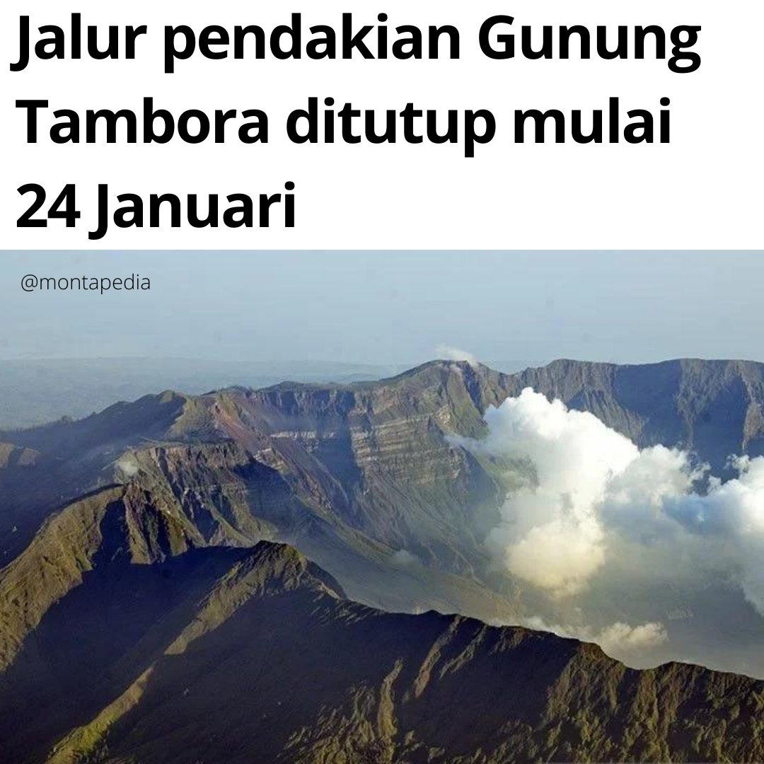 Montapedia tweet media