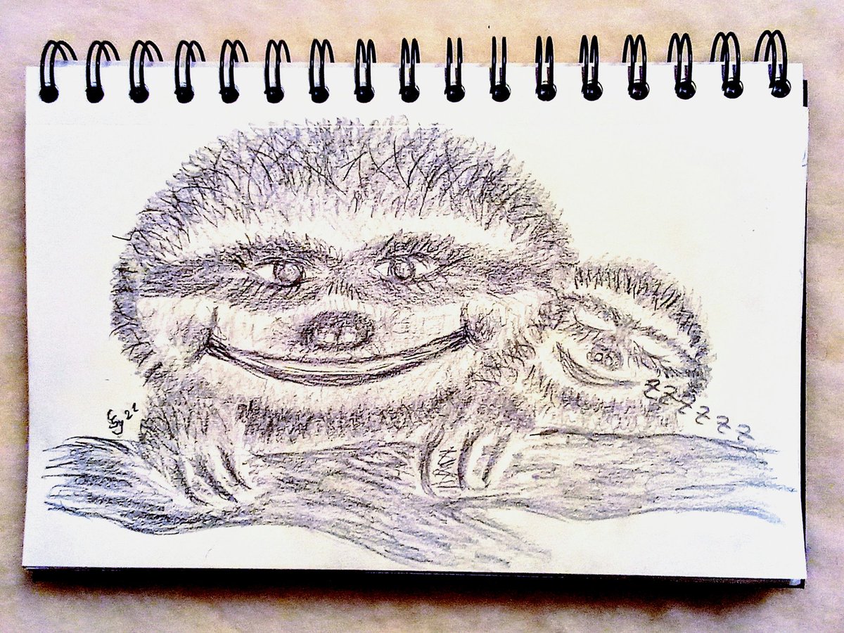 SyllaCarmen's tweet photo. Moin Ihr Lieben 🖌️🌈❣️
@kunstklasse #kleineKunstklasse #graphitdrawing #drawing #illustration #faultier #artistsontwitter #ArtistOnTwitter 
Ich liebe diese süßen Faulies und hoffe Ihr auch 🥰
!B https://t.co/TJNgMPz0bg