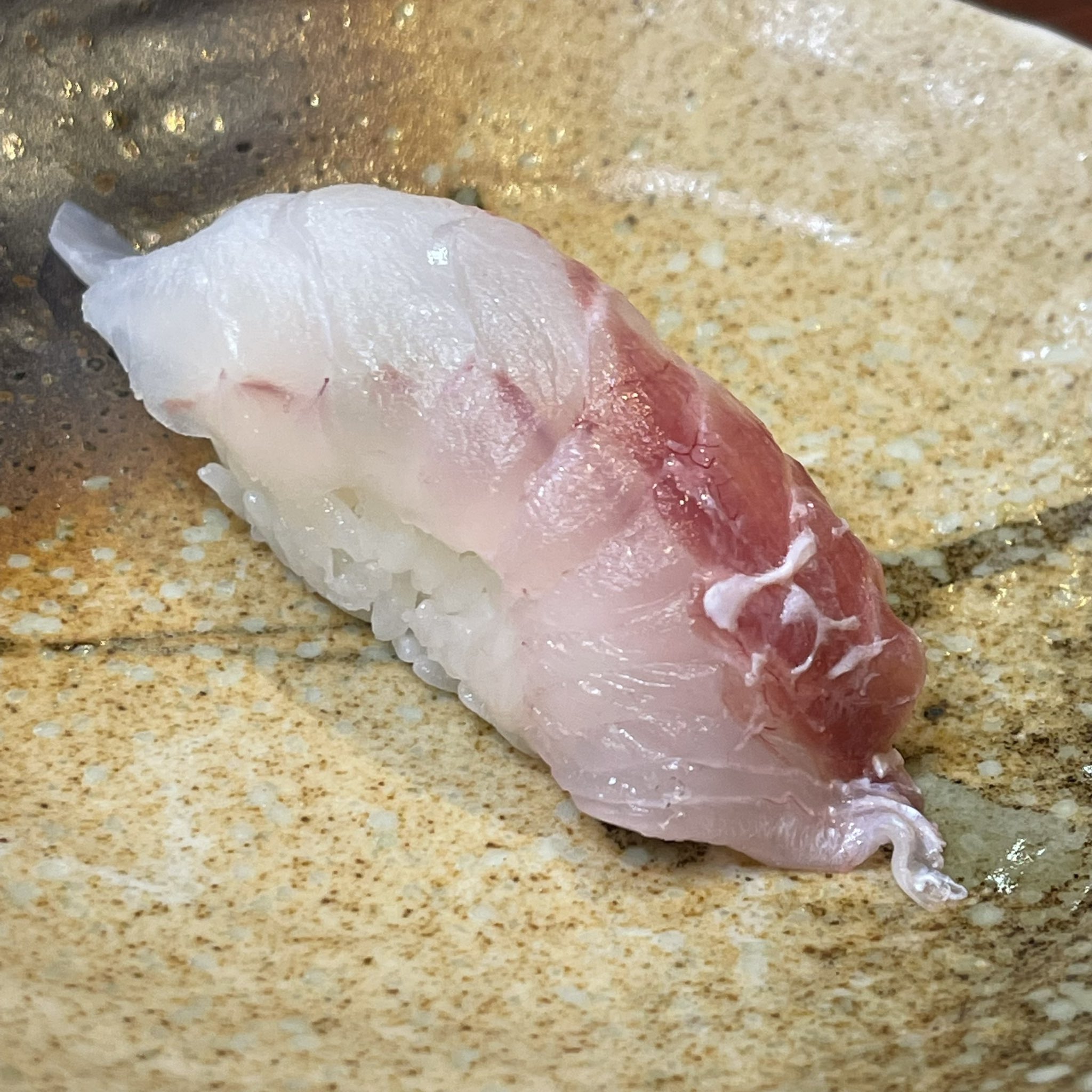 O Xrhsths まぐろ人吉祥寺店 Sto Twitter おはよう御座います 1 21 ヒゲソリダイが入荷しております 徳島のほうではタモリ と呼ばれる魚です タモリの握り タモリの炙り タモリのお刺身にてご提供いたします タモリ T Co 3i5grcxdjl Twitter