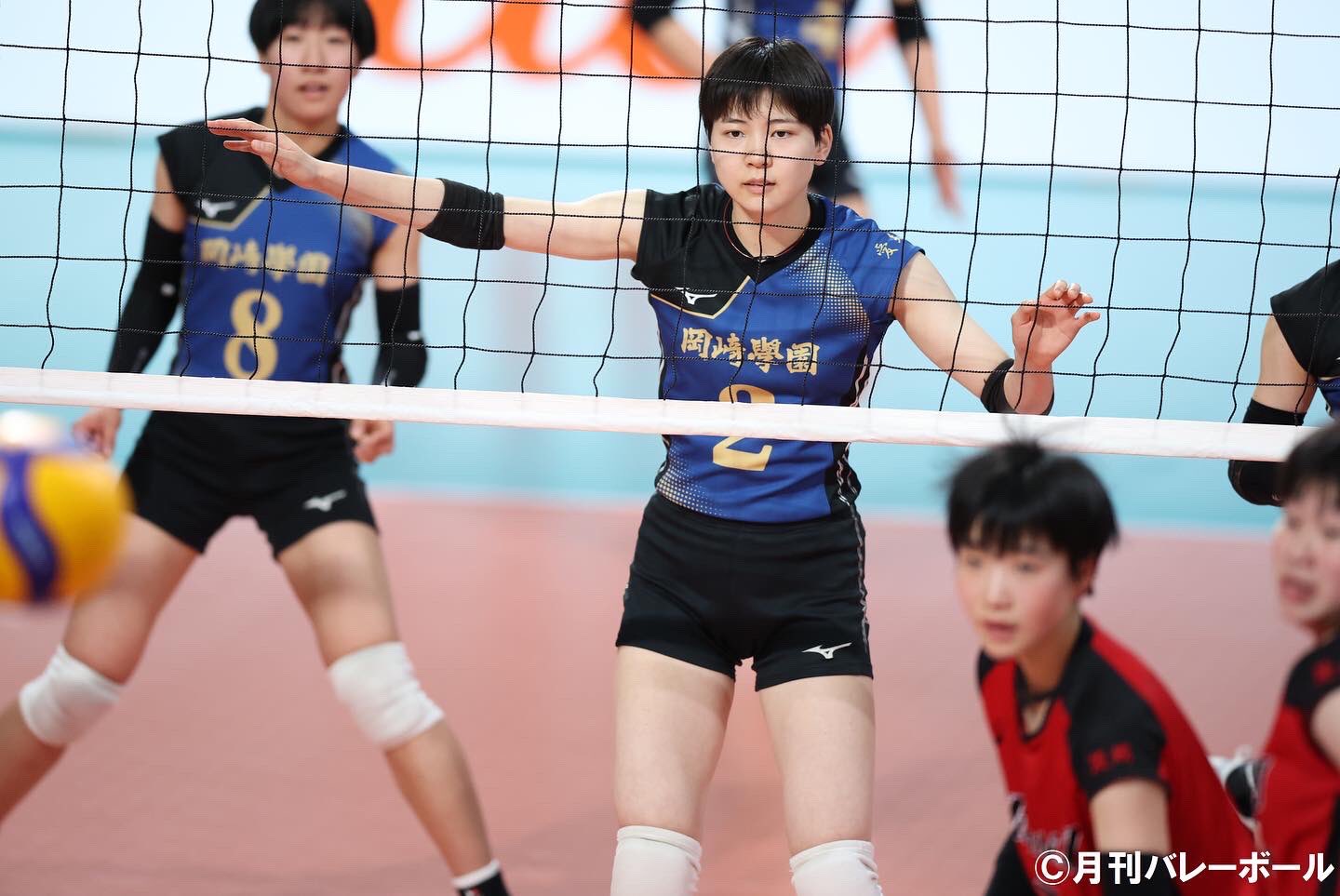 月刊バレーボール【公式】 on X: 