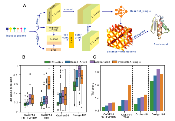 KevinKaichuang's tweet photo. Use a pretrained protein language model + trRosettaX for improved protein structure prediction from single sequences. 

Wenkai Wang, Zhenling Peng, Jianyi Yan

https://t.co/90koNV75yZ https://t.co/HjnEzAeVIj