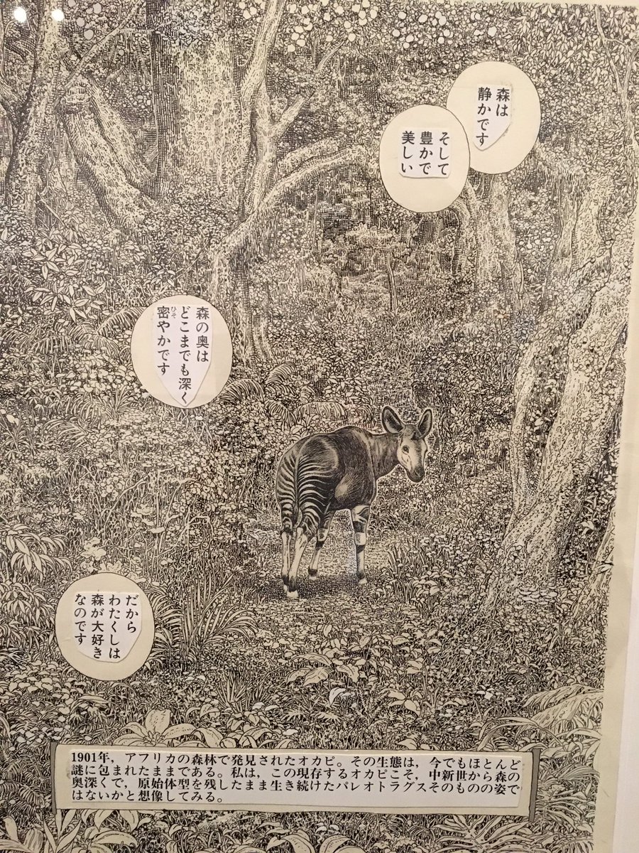 世田谷文学館の谷口ジロー展行ってきました!
とてつもない描き込み量に震えました。生原稿の迫力すごい…
撮影可だったのでパシャリ。 