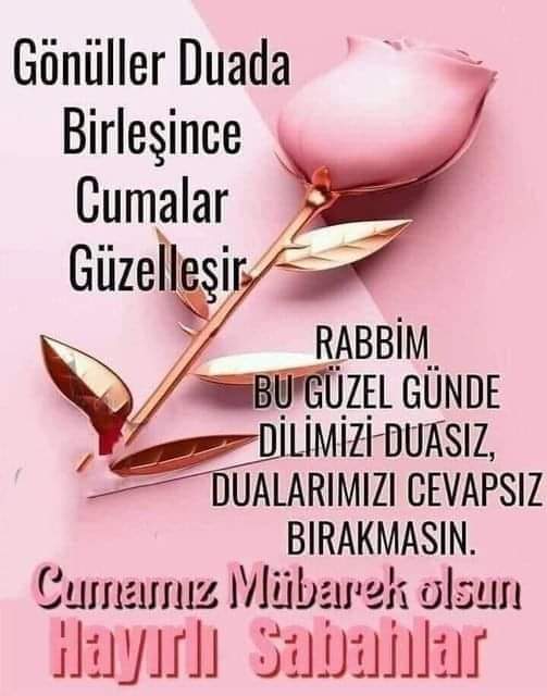 EmirFuat11's tweet photo. https://t.co/wtdGLHQRJs