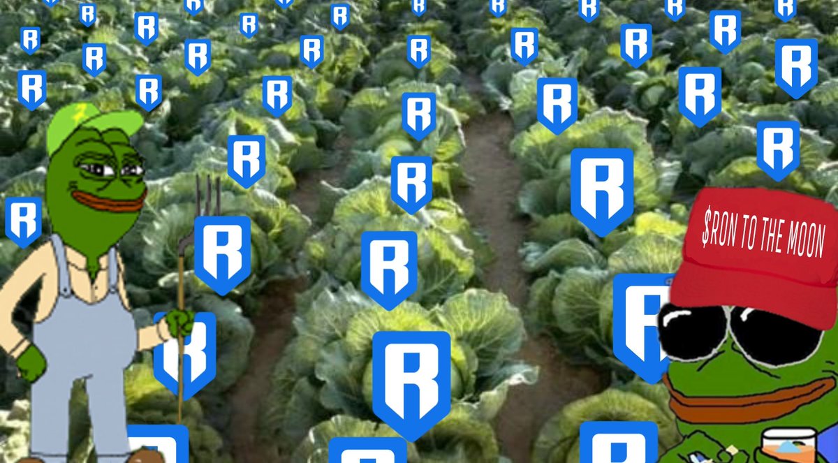 jmatushi's tweet photo. @Lynn97YL @Jihoz_Axie @glrbx Its almost time to harvest/claim our $RON @AxieElon #RonMemeContest https://t.co/Oh3w8MNJ29