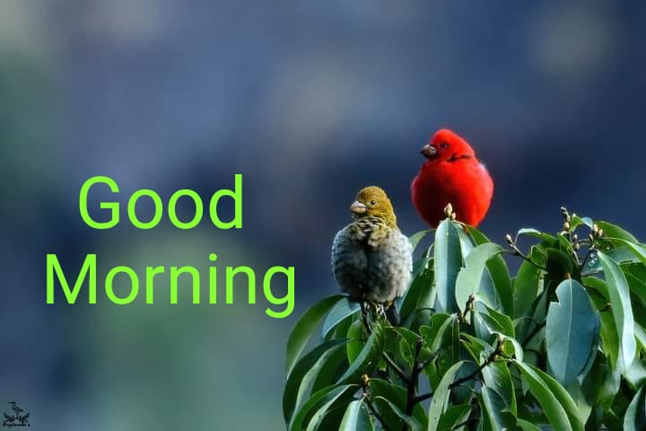 BabliPaine's tweet photo. Or kitne din.plz joining do 🙏#SSCGD18_नियुक्ति_नहीं_तो_वोट_नहीं https://t.co/1bDX2e7Gxo