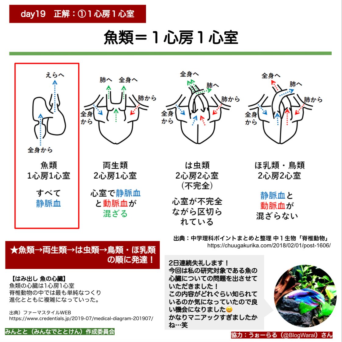 Papi Tamakoke Papitamakoke Twitter