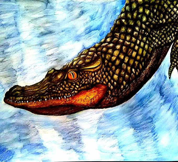 ワニのイラストのtwitterイラスト検索結果