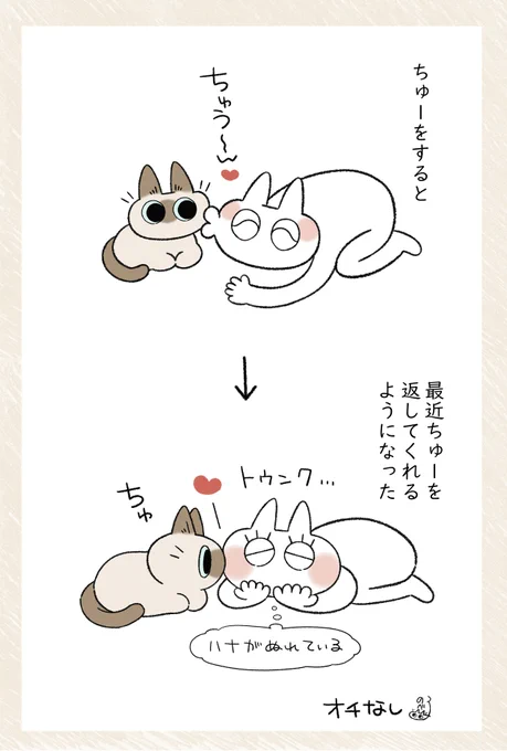 のろけです #シャム猫あずきさんは世界の中心 