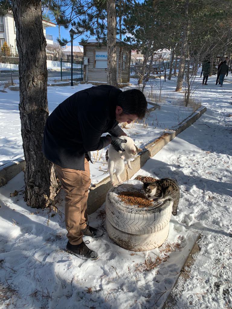 Aile Sosyal Politikalar İl Müdürlüğü ve Jandarma Çevre Tim Komutanlığı ile birlikte yabani hayvanlar ve sokak hayvanları için yiyecek bıraktık🦊🐺🐶🐱