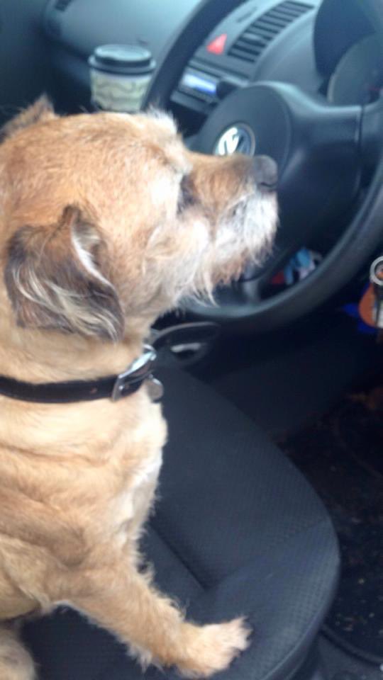 SnoopBT's tweet image. A little throw back to when Snoop insisted on driving! 😁❤️#btposse