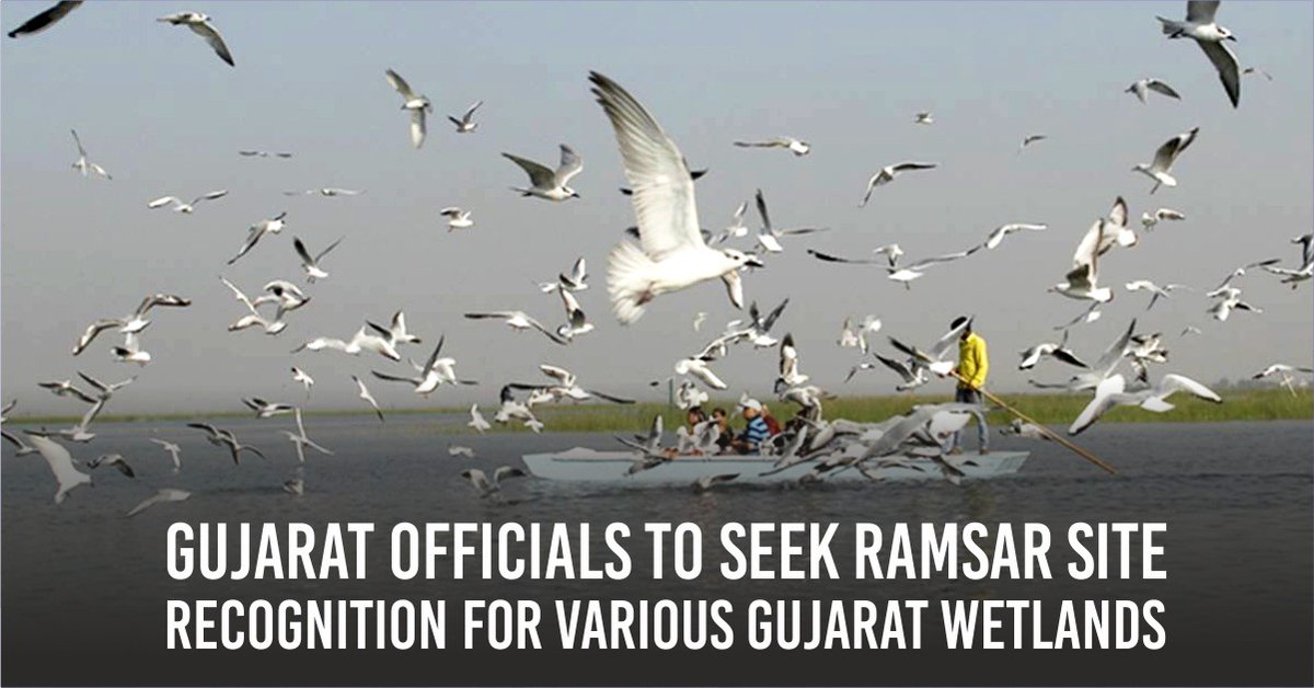 Great development! Officials in #Gujarat have decided to proactively work towards getting #Ramsar Site recognition for various wetlands. This would boost nature conservation efforts & positively impact wildlife & bird populations. @moefcc @GujForestDept indianexpress.com/article/cities…