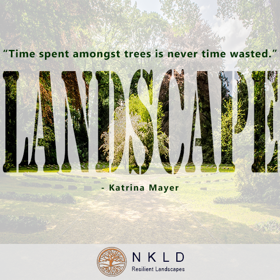 Trees are magnificent structures that are very beneficial to their environment. They are definitely something you should actively include in your landscapes!
.
#nkld #landscape #sustainability #resilience #greenmindset #trees #beautifyyourworld #nature #climatechange #gogreen