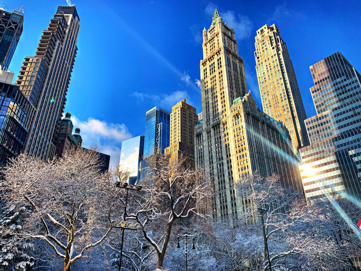 City of New York tweet media