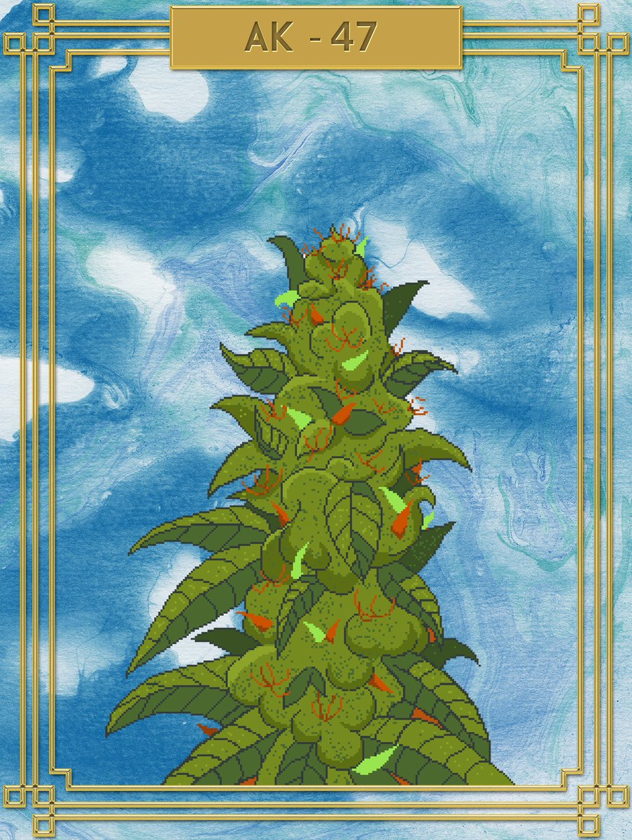 Blessed NFT Creators Studio tweet media