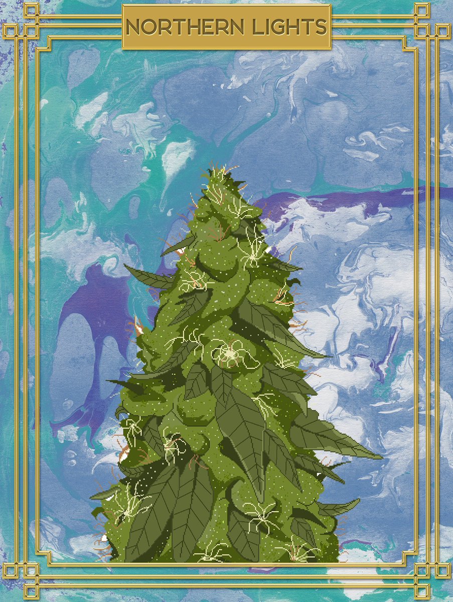 Blessed NFT Creators Studio tweet media