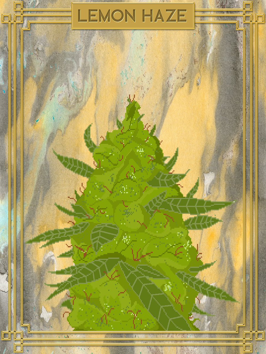 Blessed NFT Creators Studio tweet media