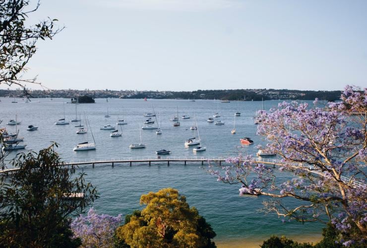 MaximusCampers's tweet photo. DISCOVER SYDNEY'S SECRET BEACHES!
Watch #yachts bob on their moorings & check out the #view of #ClarkIsland from #RedleafBeach in #ritzy #DoubleBay. The #MurrayRosePool is protected & defined by a walkable wraparound #pontoon that lets anyone, literally, #walkonwater. https://t.co/oiYclDsUHd