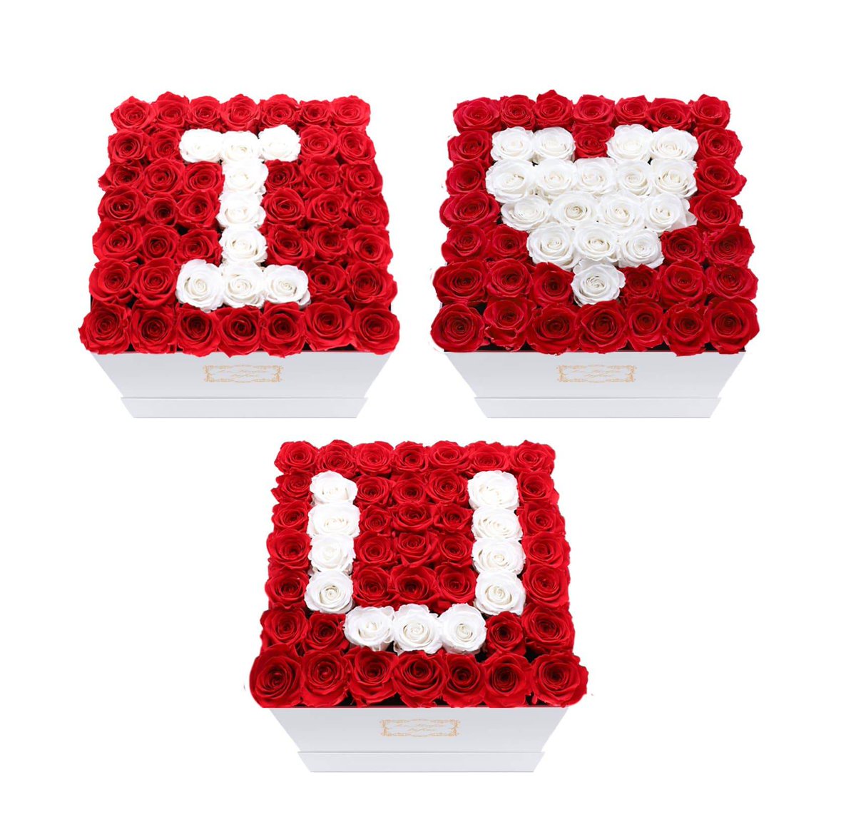 couponstray's tweet photo. Valentine Special📢$949 USD📢
I Love U Set White &amp; Red Preserved Roses - Large Square Luxury White Box🎁💐
Shop Now:https://t.co/8cSwXemDX1
#White #Red #couponstray #square #Valentine #roses #onlineshopping #couponstray #special #luxury https://t.co/6TP2aNQ99o