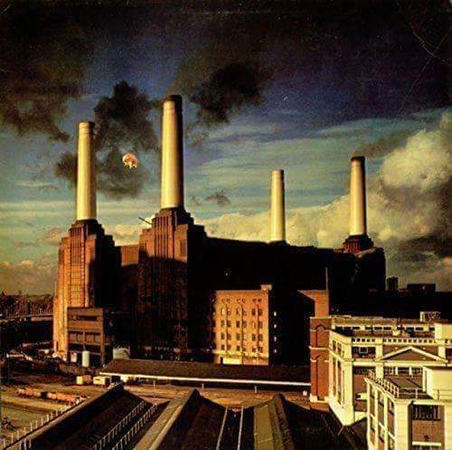 soundofprogrock's tweet image. Happy Anniversary 🥳 21 January 1977 ... Pink Floyd  - "Animals" #PinkFloyd