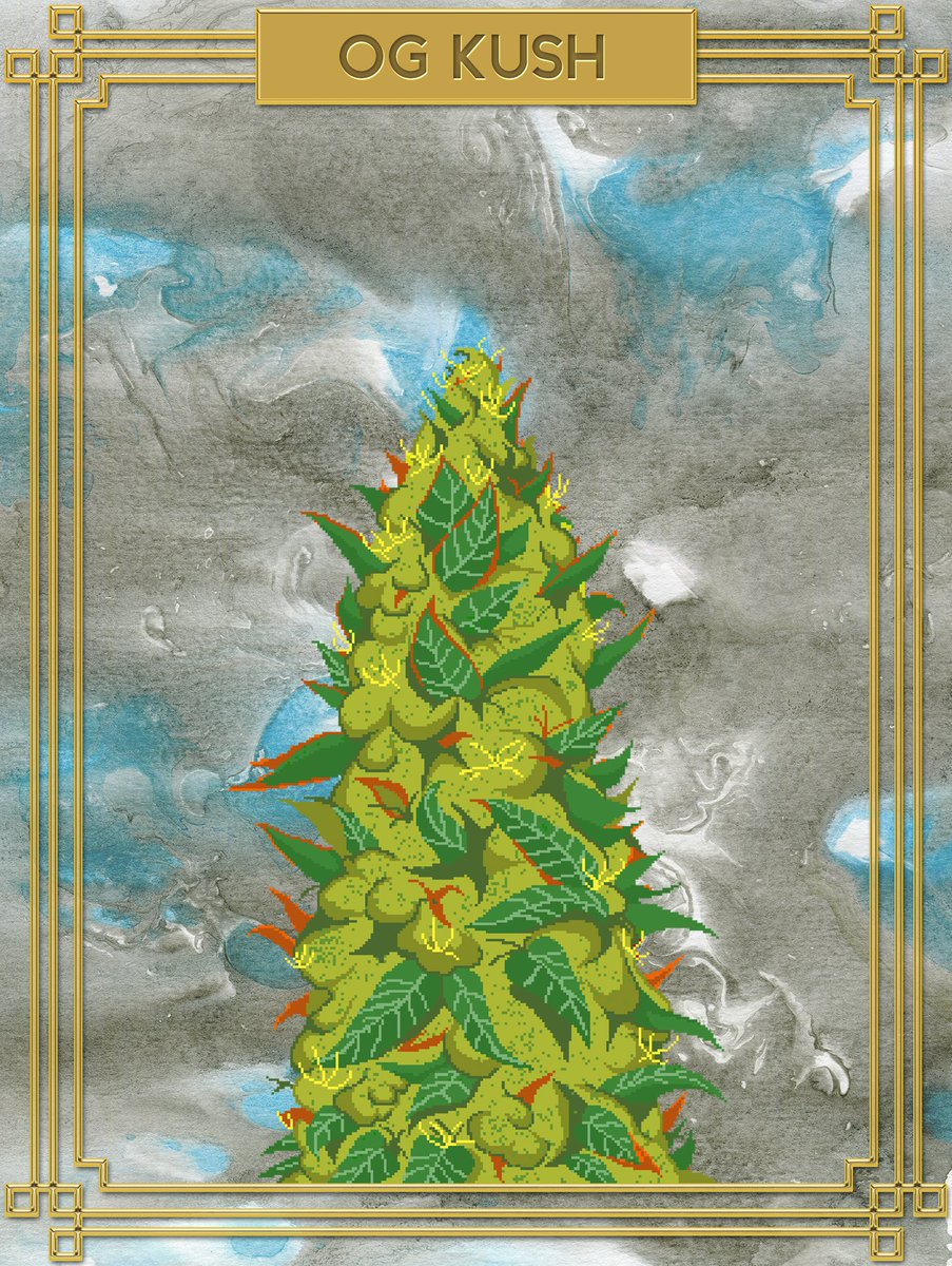 Blessed NFT Creators Studio tweet media