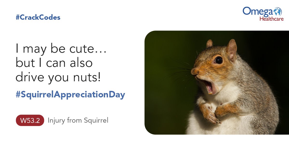 Omega_HMS's tweet image. Today is #SquirrelAppreciationDay! While you can appreciate how squirrels help with forest renewal & preservation, be careful or else you may squea-rel with W53.2: the #ICD10Code to describe injuries from squirrels. Stay tuned for more #CrackCodes #CodingHumor #MedicalCoding