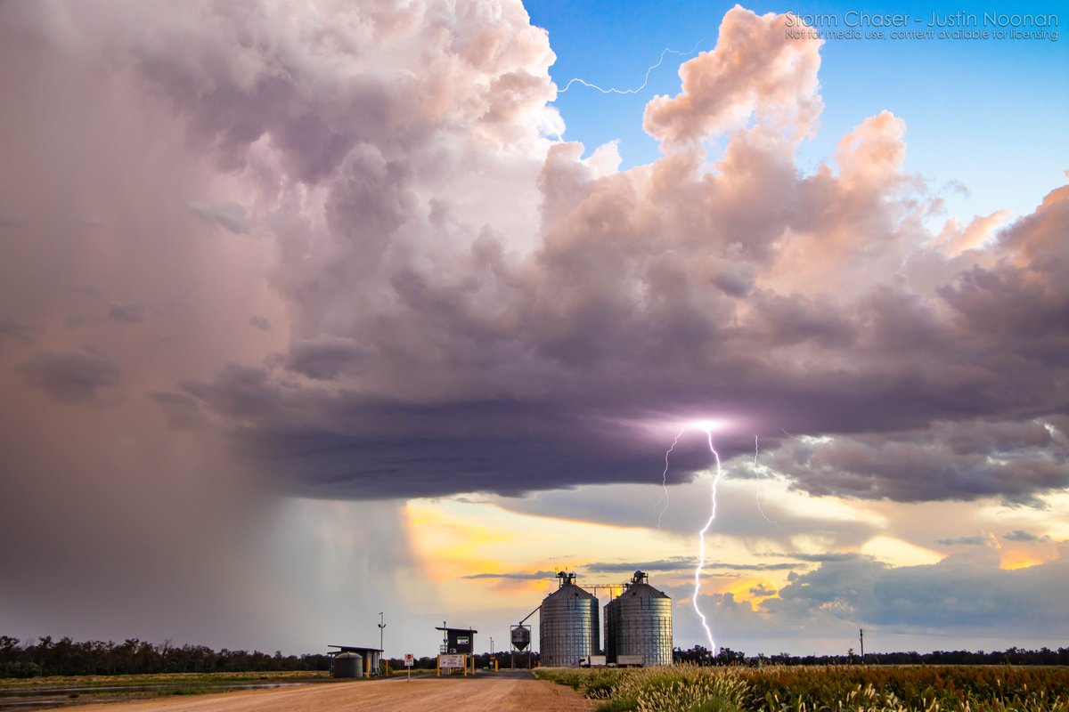 NoonanJustin's tweet photo. Goondiwindi was the scene for this stunning lp storm last Saturday 15th January 2022. It produced some monster clear air cg's, &amp; I was lucky enough to capture a few at sunset. The #Australian storm season continues to produce.

#StormHour #Lightning #Queensland #storms https://t.co/SlUfA7lKR9