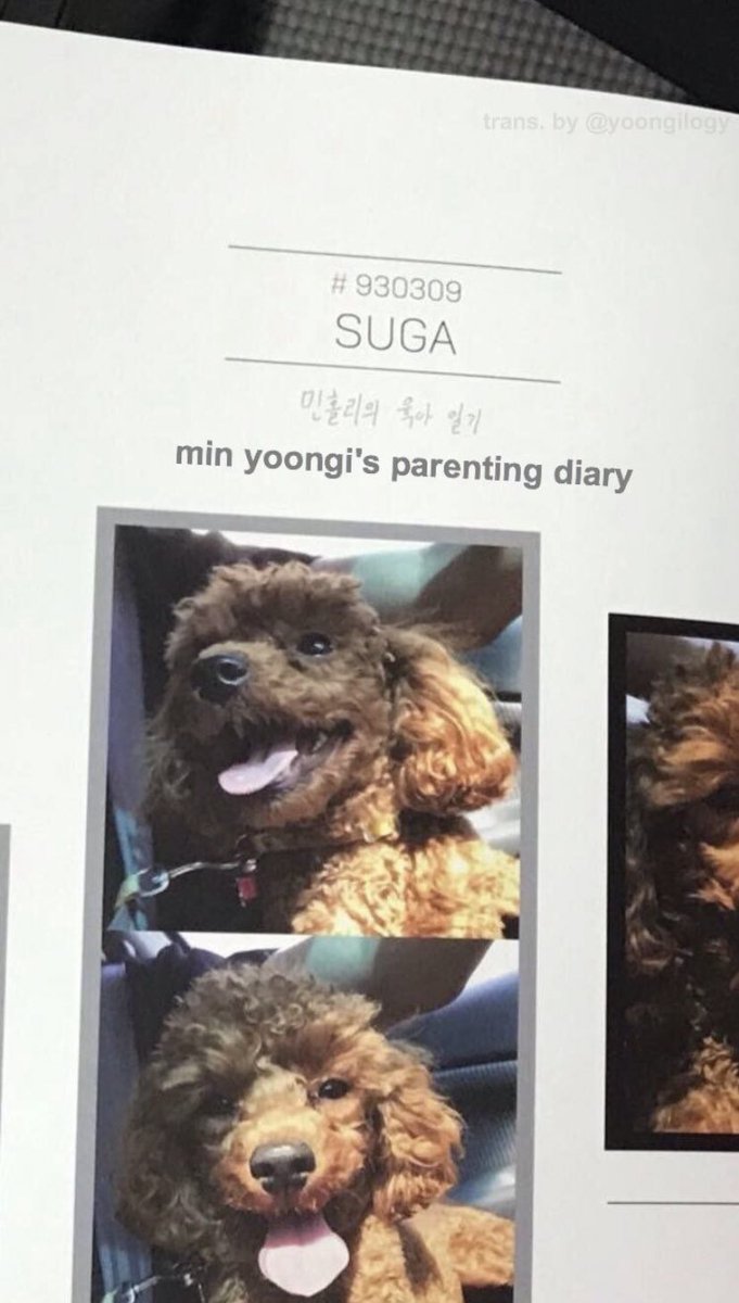taegislv's tweet photo. — Recordemos siempre que yoongi tiene un álbum de fotos de holly y de nombre le puso "diario de crianza de min yoongi", de seguro esta foto esta en ese diario 😭 https://t.co/muPYSz0ySj