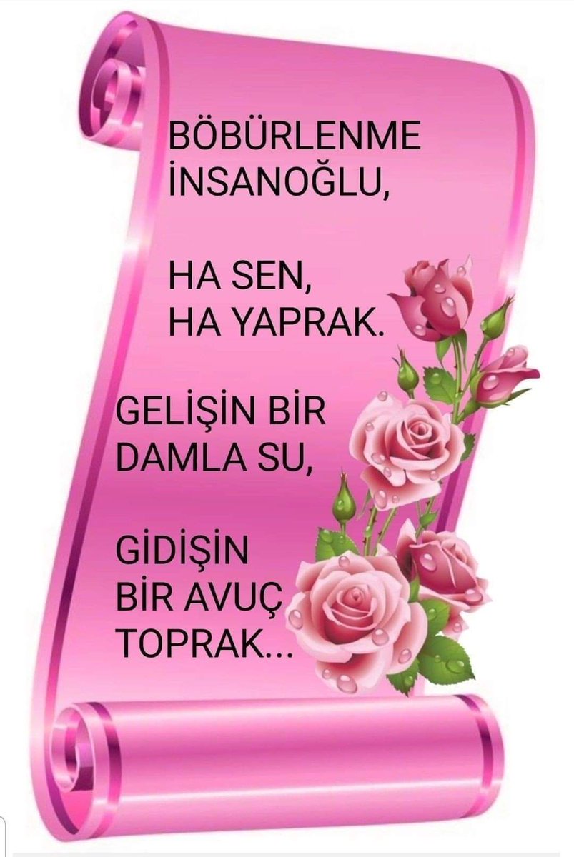 EmirFuat11's tweet photo. https://t.co/SY1TBhV39x