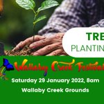 We are proud sponsors of 🌱 THE PLANTING 🌱hosted by Wallaby Creek Festival. 

Please register your attendance here:   https://t.co/G0AziI02IT 

For further details please contact: Sandy Lloyd 📞  0437 910 883

#WallabyCreekFestival #CapeYork #Queensland 