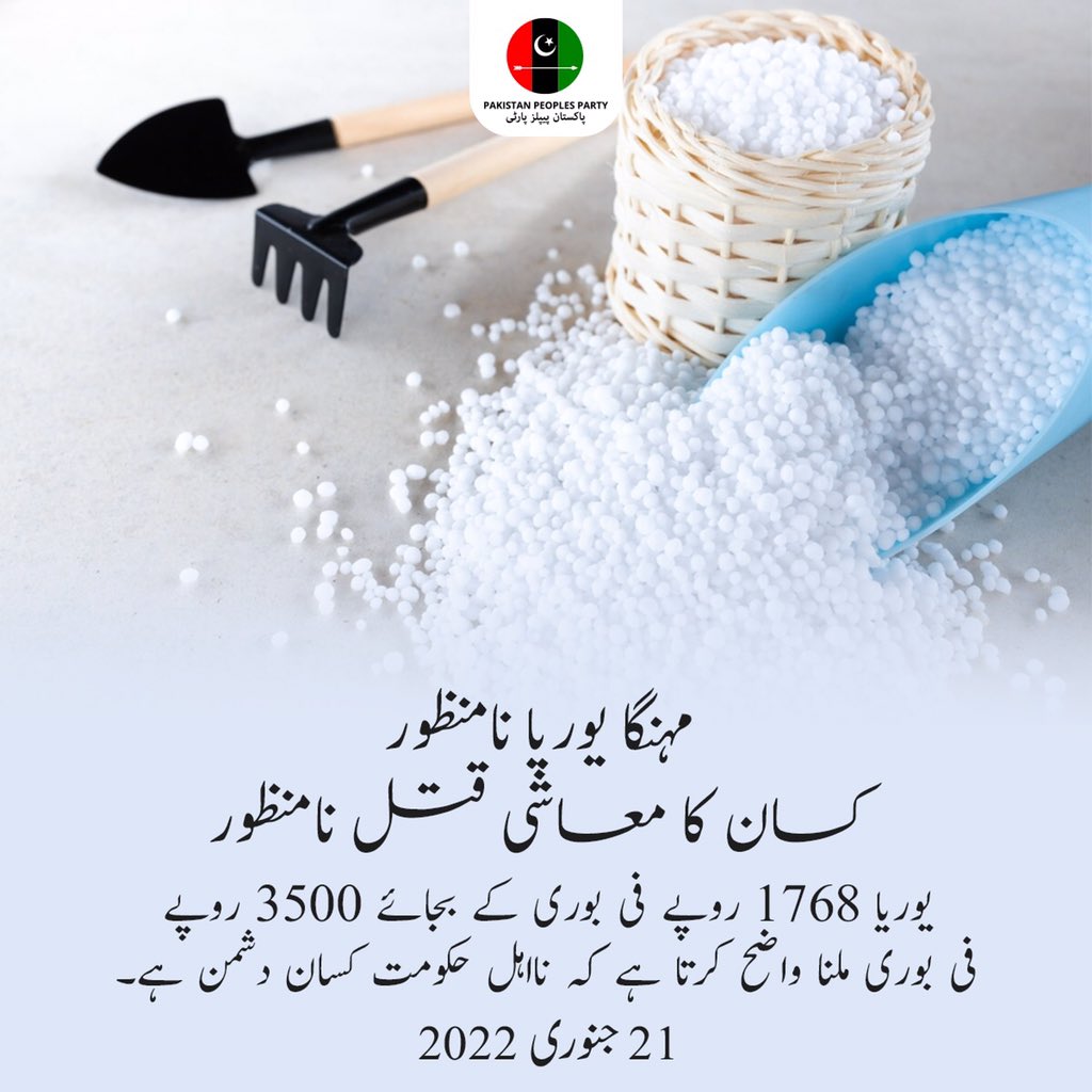 MediaCellPPP's tweet photo. مہنگا یوریا نامنظور

نااہل حکومت کی وجہ سے آج کسان بلیک مارکیٹ سے اپنی فصلوں کیلئے مہنگا یوریا لینے پر مجبور ہے، پاکستان پیپلز پارٹی کی کسان مارچ کا حصہ بن کر نالائق حکومت کے خلاف اپنا فیصلہ سنائیں۔

#KissanMarch https://t.co/bcARc4Vj5I