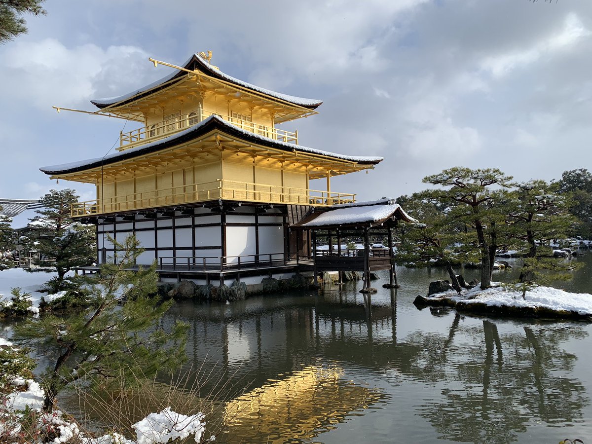 capresam4442's tweet photo. 初めて生で見たけど、雪化粧も相まって感動しました。
まさに「GOLD」✨ https://t.co/ccx64G7GZu