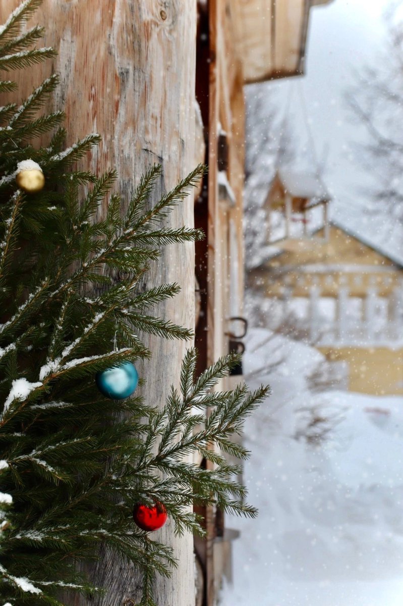 tchaikovskyhome's tweet photo. #фотозарисовки

❄Снежная усадьба❄ https://t.co/ZDTArR55ku