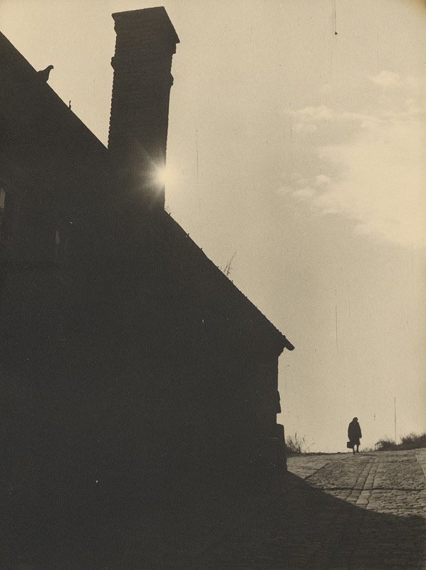 finnonna tweet media