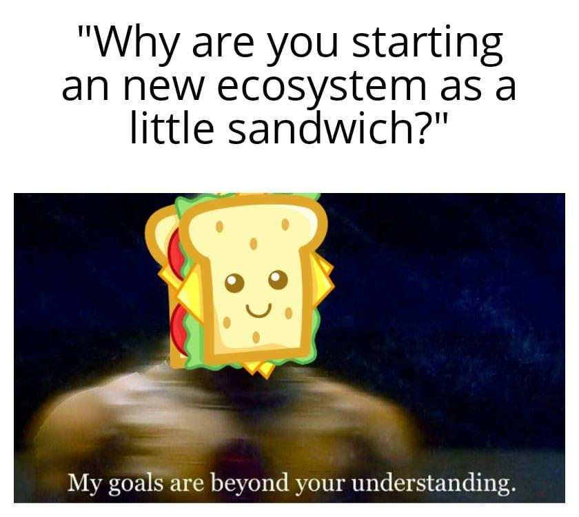 NetworkSandwich tweet picture